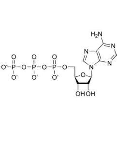 三磷酸腺苷 三磷酸腺苷-基本内容，三磷酸腺苷-化学性质