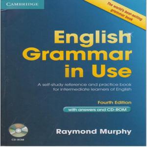 grammar in use pdf 《English Grammar in Use》