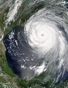卡特里娜飓风 飓风卡特里娜 飓风卡特里娜-发展，飓风卡特里娜-影响