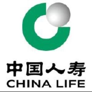 中国人寿保险员工待遇 中国人寿保险股份有限公司员工工作总结