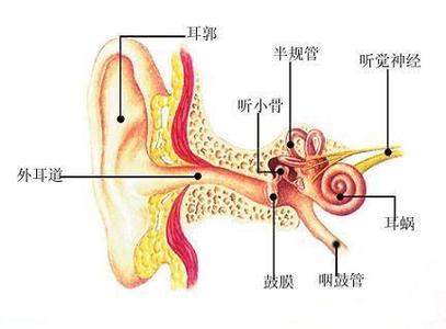中耳炎吃什么药效果好 中耳炎最佳治疗方法