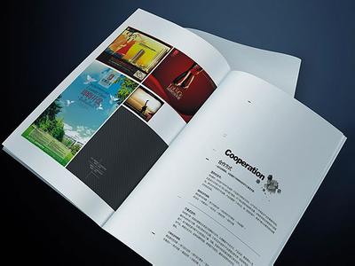 企业宣传册设计欣赏 企业画册设计欣赏