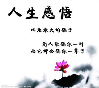 经典人生感悟文章 人生感悟经典格言