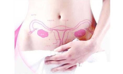 怎样保养卵巢和子宫 女性保养卵巢的方法