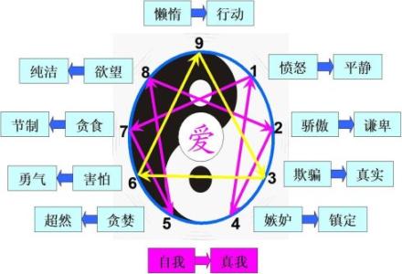 九型人格心得体会 九型人格读后感