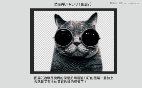 photoshop通道抠图 Photoshop使用通道给黑色猫咪抠图