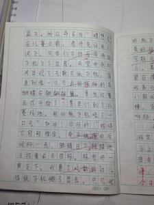 难忘的一件事200字 小学三年级作文难忘的一件事