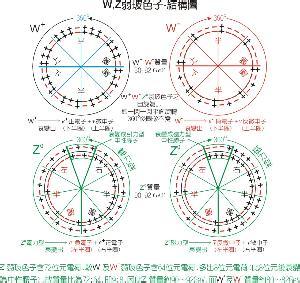 费米子和玻色子 玻色子 玻色子-基本内容，玻色子-费米子