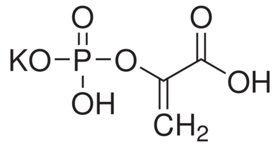 氢少失氢 磷酸烯醇式丙酮酸碳羧化酶