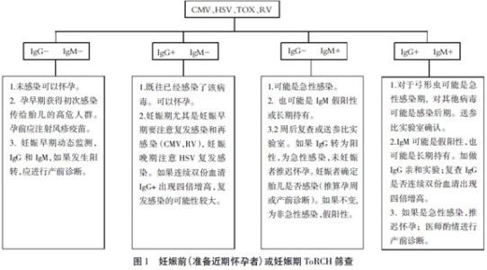 TORCH TORCH-基本介绍，TORCH-TORCH的感染