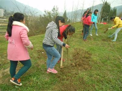 小学生植树节活动总结 2015小学生植树节活动总结