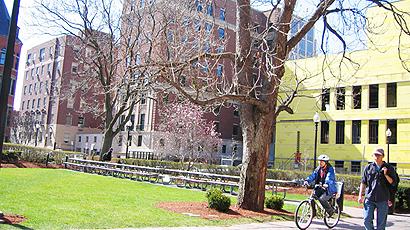 麻省大学波士顿分校 美国留学 麻省大学是波士顿地区唯一的公立大学