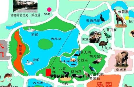 郑州动物园 郑州动物园-历史沿革，郑州动物园-交通信息