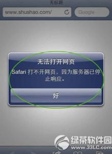 safari服务器停止响应 safari打不开网页因为服务器已停止响应