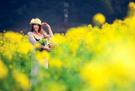 那时花开歌曲 那时花开