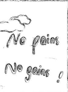 nopains,no gains作文 No Pains,No Gains