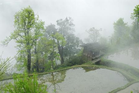 春雨绵绵润万物 春雨绵绵