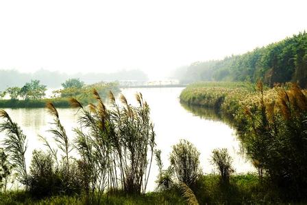 深圳有哪些湿地公园 广州有哪些湿地公园