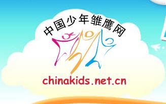 中国少年雏鹰网 中国少年雏鹰网 中国少年雏鹰网-一、总体介绍，中国少年雏鹰网-