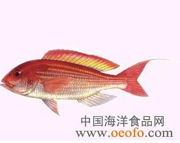 红三鱼 红三鱼-营养成分，红三鱼-同类区别