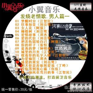 CD CD-基本简介,CD-光盘发展