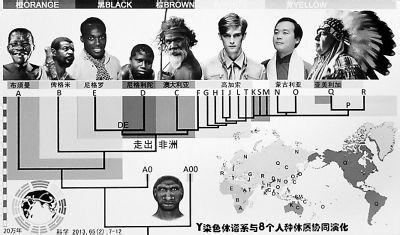 夏侯家族和曹操 曹操家族DNA 曹操家族DNA-研究过程，曹操家族DNA-研究结果