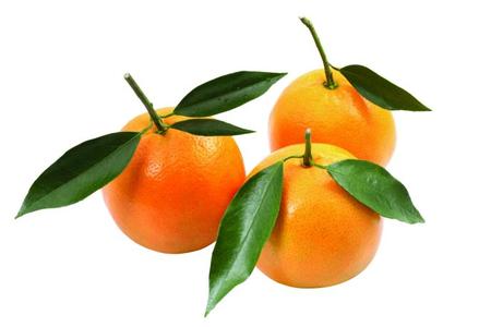 橘子的外形 橘子的自述