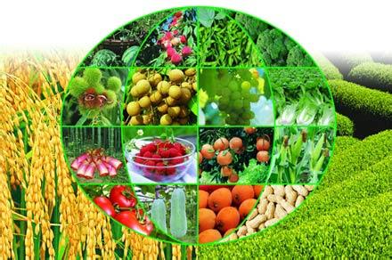 农产品 农业  农产品 农业 -简介，农产品 农业 -解释