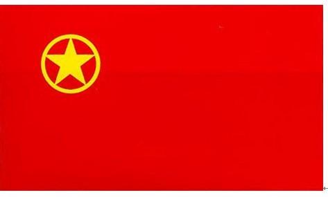 中国共产主义青年团团旗 中国共产主义青年团团旗-中国共产主义青