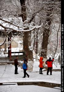 写雪景的作文400字 赏雪景