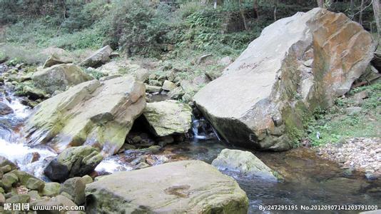 溪水与石头全部答案 溪水和石头阅读答案