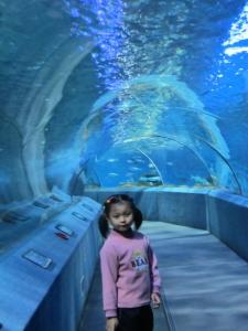 南京海底世界门票 游南京海底世界