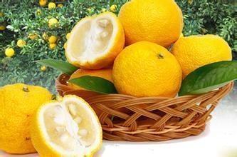 不同种类粥的功效 二 不同种类橘子的食疗功效