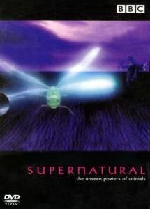《超自然力量》 《超自然力量》-基本资料，《超自然力量》-内容