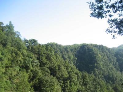 福宝国家森林公园 福宝国家森林公园-简述，福宝国家森林公园-公