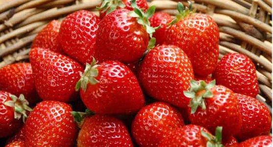 孕妇吃草莓有什么好处 孕妇能吃草莓吗 孕妇吃草莓的好处