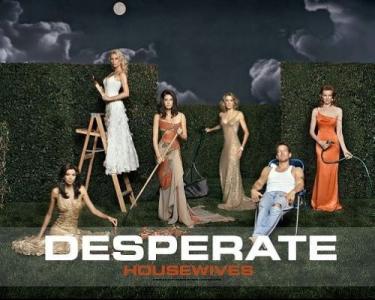 绝望的主妇第六季 绝望的主妇第六季-电视剧简介，绝望的主妇第六