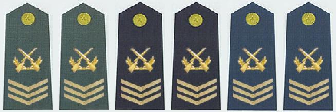 一级军士长军衔 二级军士长 二级军士长-军衔，二级军士长-标识