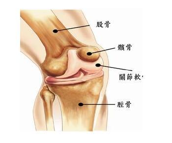 血源性骨髓炎治疗方法 急性血源性骨髓炎治疗方法有哪些