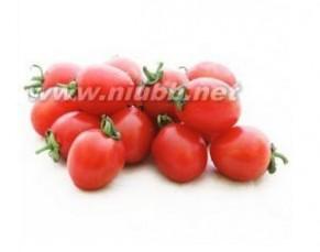 营养与膳食概述 ppt 樱桃小番茄 樱桃小番茄-概述，樱桃小番茄-营养分析