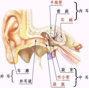 正确的掏耳朵方法图解 如何正确掏耳朵