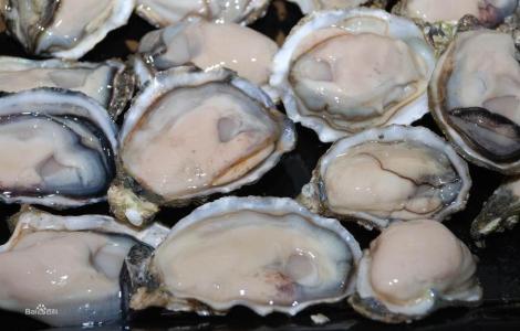 褶牡蛎 褶牡蛎-俗名，褶牡蛎-产地及产期