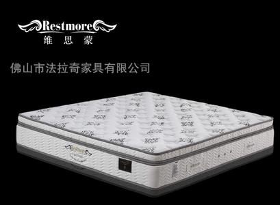 保健床垫 保健床垫-简介 ，保健床垫-保健床垫优点