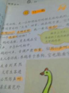 在乎 汉语词语  在乎 汉语词语 -简介，在乎 汉语词语 -基本解释