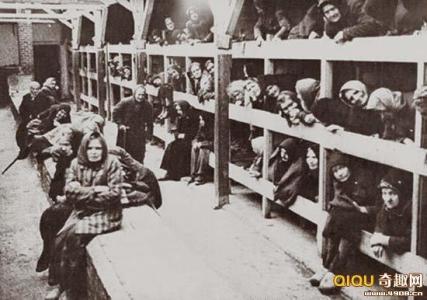 奥斯维辛集中营 奥斯维辛集中营-概述，奥斯维辛集中营-历史