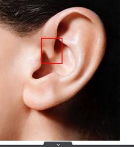 孩子耳朵疼是什么原因 耳朵疼是什么原因