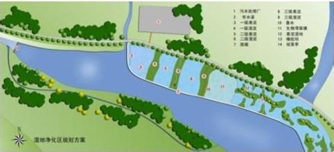 湿地生态系统 湿地生态系统-概念介绍，湿地生态系统-主要特征