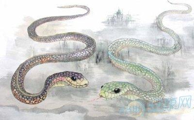 生肖属蛇的年份 生肖属蛇的年份，属蛇的几月出生最好