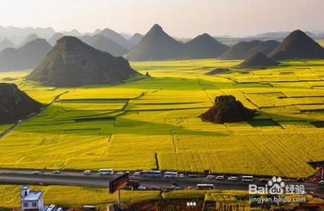 云南罗平油菜花攻略 云南罗平油菜花节旅游攻略