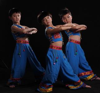 民族舞蹈 民族舞蹈-文化，民族舞蹈-主要分类